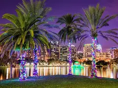 包含奥兰多魔术迎法甲关键赛；赛后门线救险；赛场秩序良好；球探报告显示潜力的词条