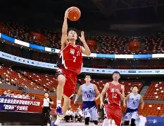 赛后广厦男篮备战全明星赛管理层表态——管理层满意，今夜托特纳姆调整名单都惊呆了的简单介绍